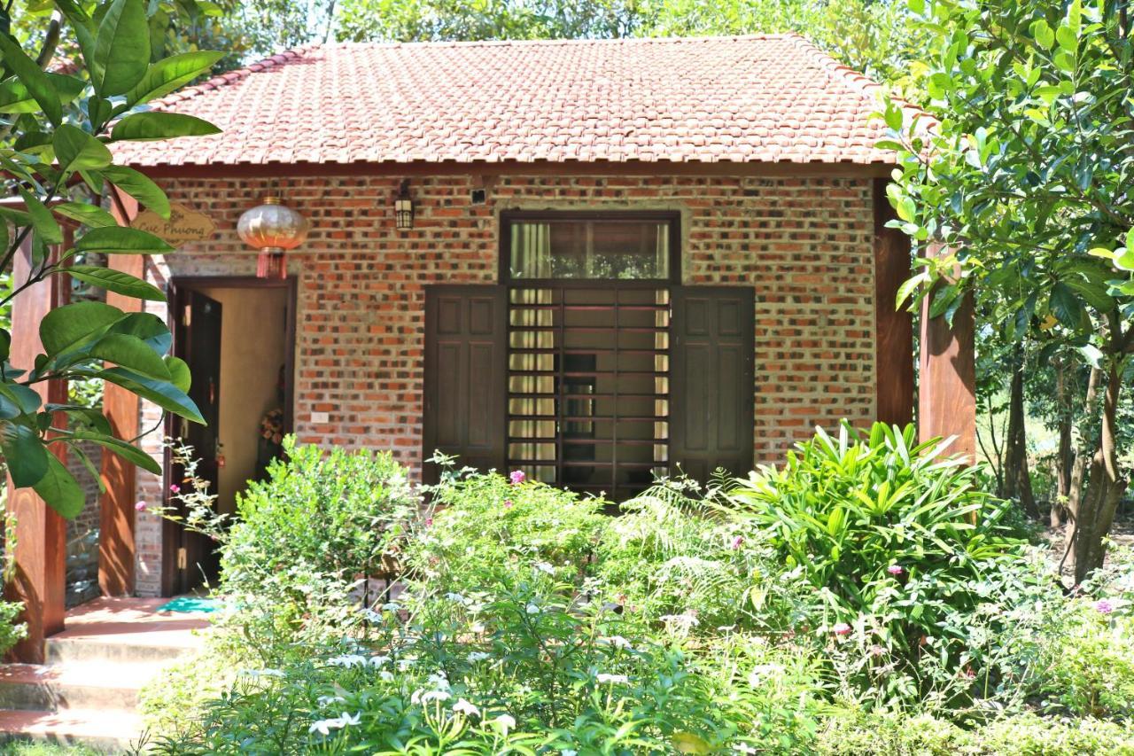 Hang Mua Valley Homestay Ninh Binh Bagian luar foto
